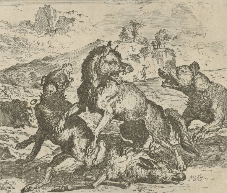 A wolf attacking sheep fighting with dogs