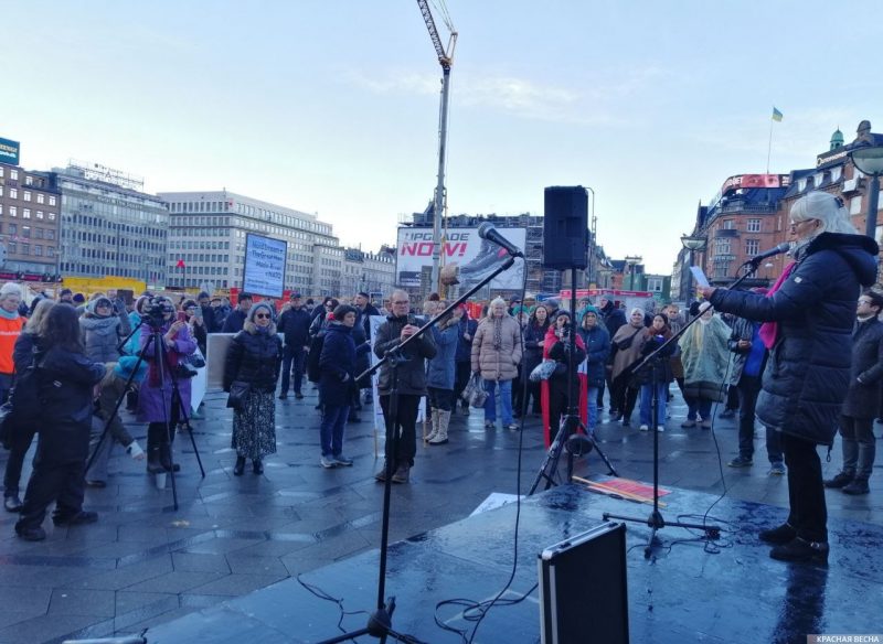 Rally against NATO and for Russia in DenmarkNina Khansen © Rossa Primavera News Agency