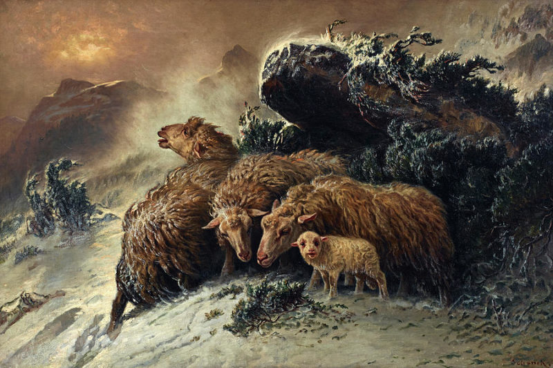 Sheeps in a winter storm by August Friedrich Albrecht Schenck