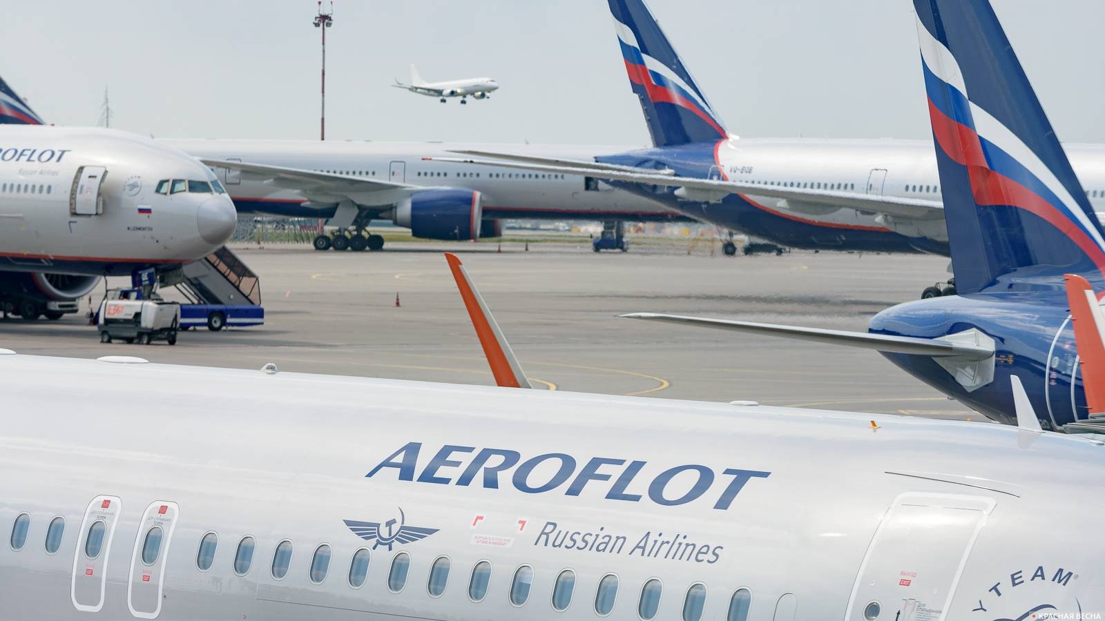 Image by Andrey Gruk © Rossa Primavera news agency Aeroflot airplanes at Sheremetyevo airport