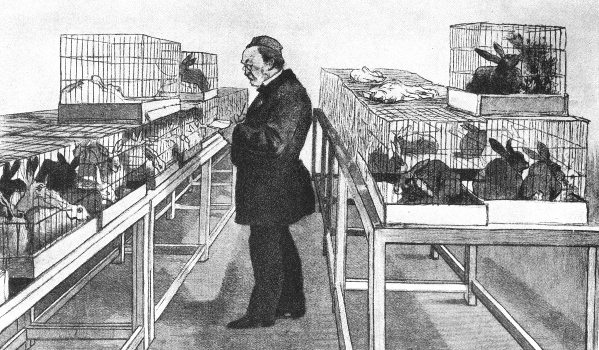 Pasteur with laboratory rabbits. Photo 1927 Experiments on Test Subjects