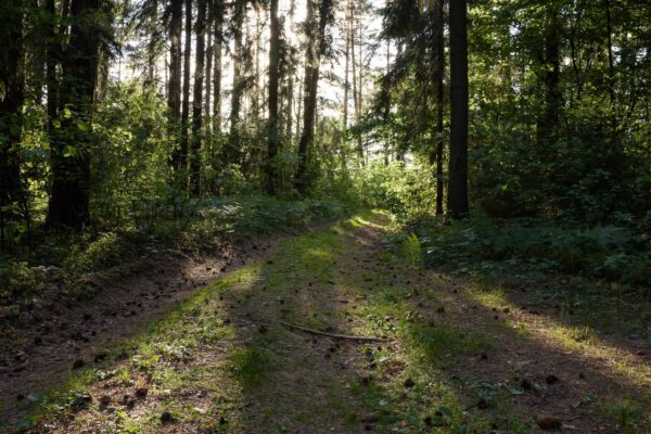 Deserted Baltic States