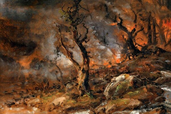 Waldbrand