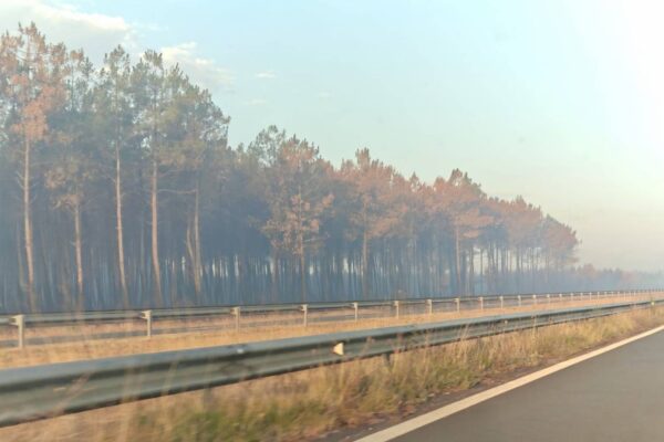 Image by Rossa Primavera News Agency Forest fire in France