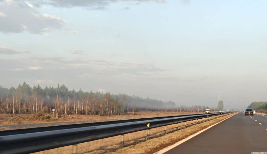 Image by Rossa Primavera News Agency Forest fire. France