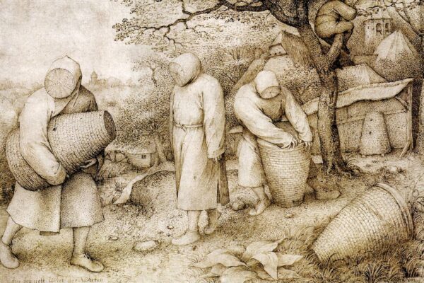 The Beekeepers and the Birdnester