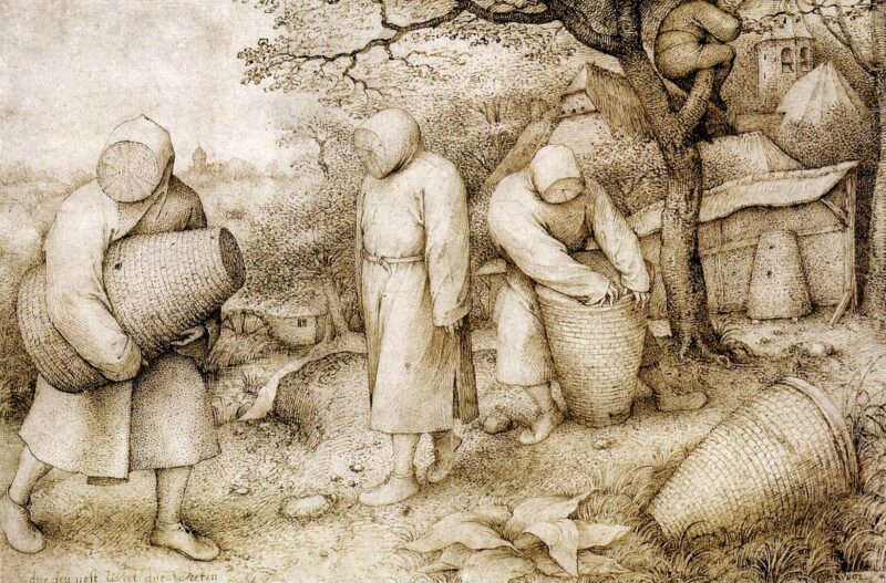 The Beekeepers and the Birdnester